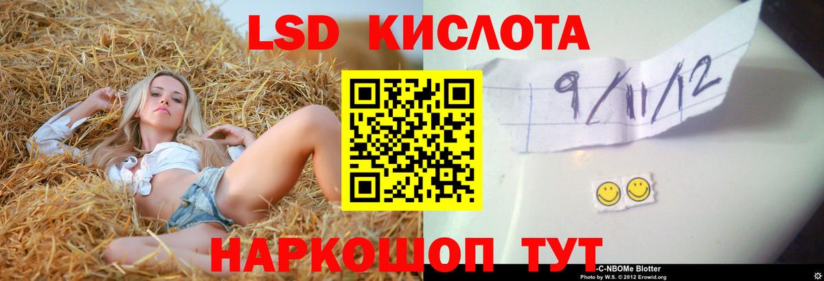 blacksprut tor  Вход с VPN  LSD-25 экстази кислота  Ярославль  Лсд 25 экстази кислота 